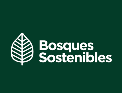 Nueva colaboración con Bosques Sostenibles