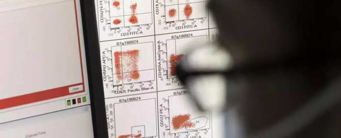datos-laboratorio-car-t